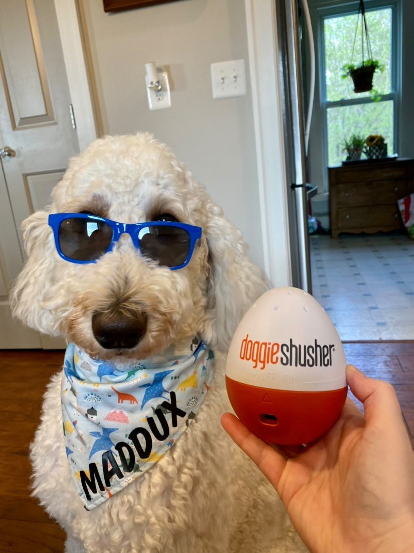 Maddox Playlist - Who let the dog's out?